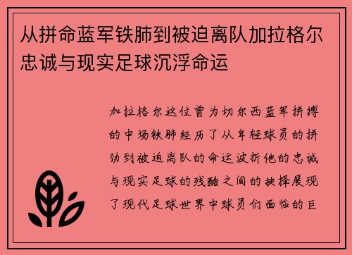 从拼命蓝军铁肺到被迫离队加拉格尔忠诚与现实足球沉浮命运